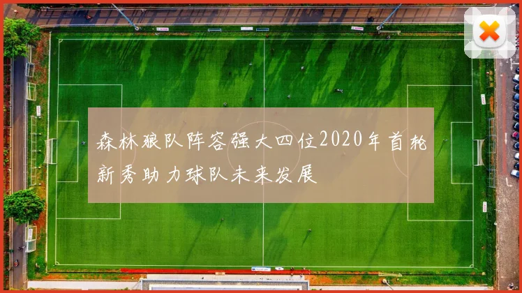森林狼队阵容强大四位2020年首轮新秀助力球队未来发展